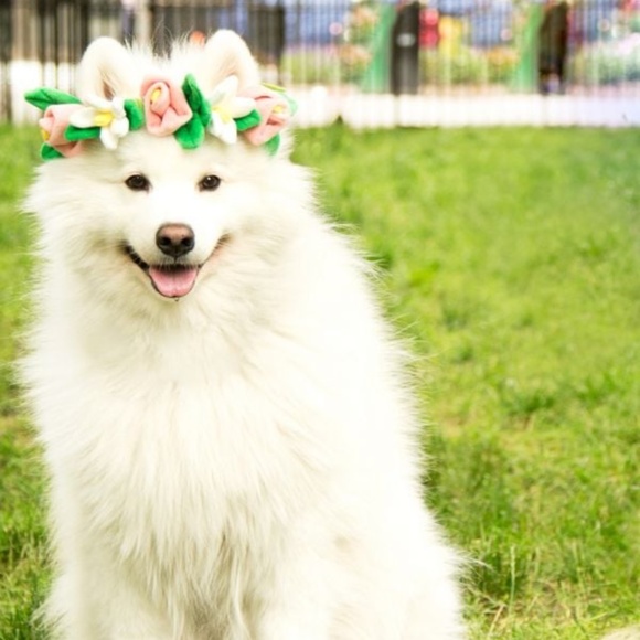 Bark Other - 2 BARK Festival Flower Crown Dog Toy - Boho Festival Hippie Bohemian - Large Dog
